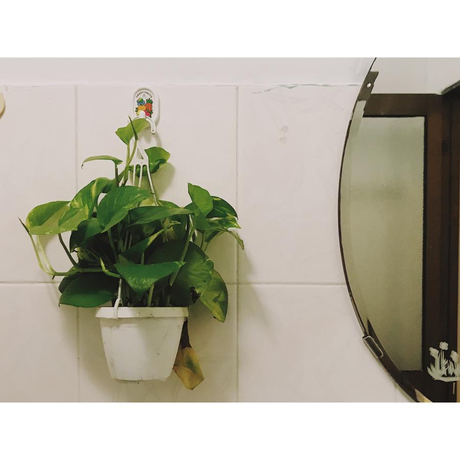 הו צ'י מין סיטי Condodo Hostel מראה חיצוני תמונה