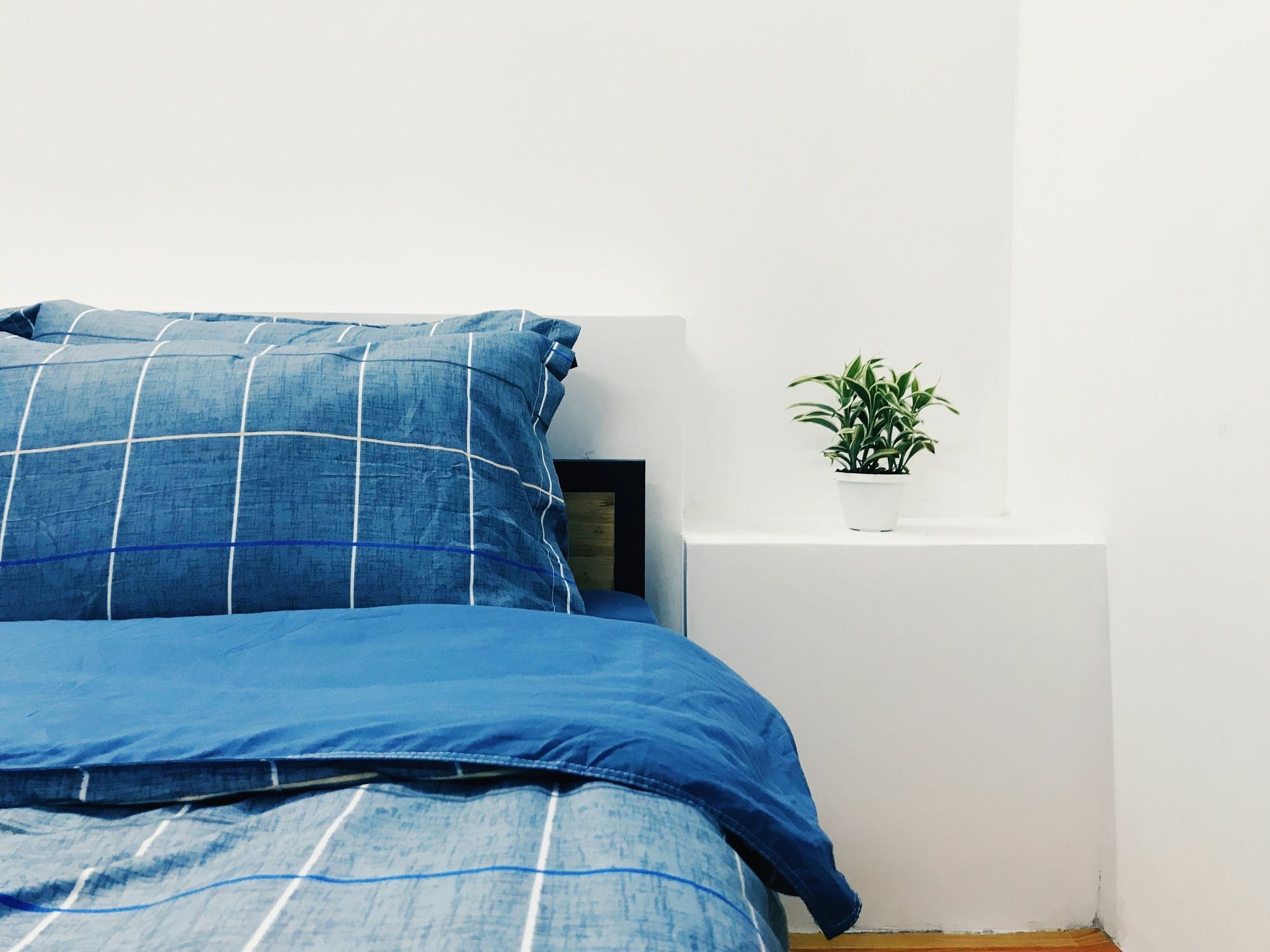 הו צ'י מין סיטי Condodo Hostel מראה חיצוני תמונה