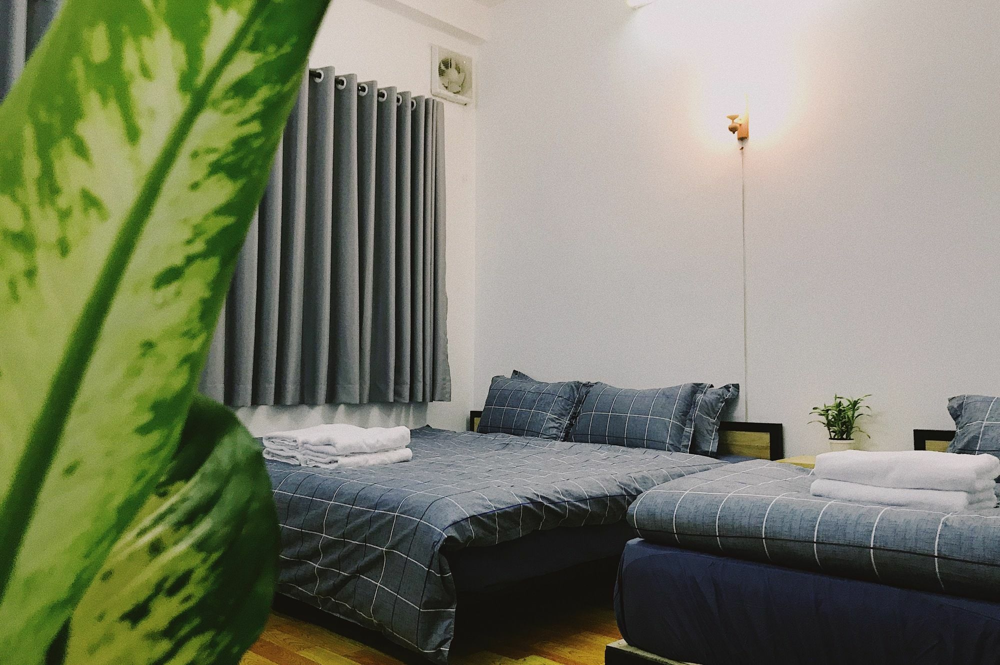 הו צ'י מין סיטי Condodo Hostel מראה חיצוני תמונה