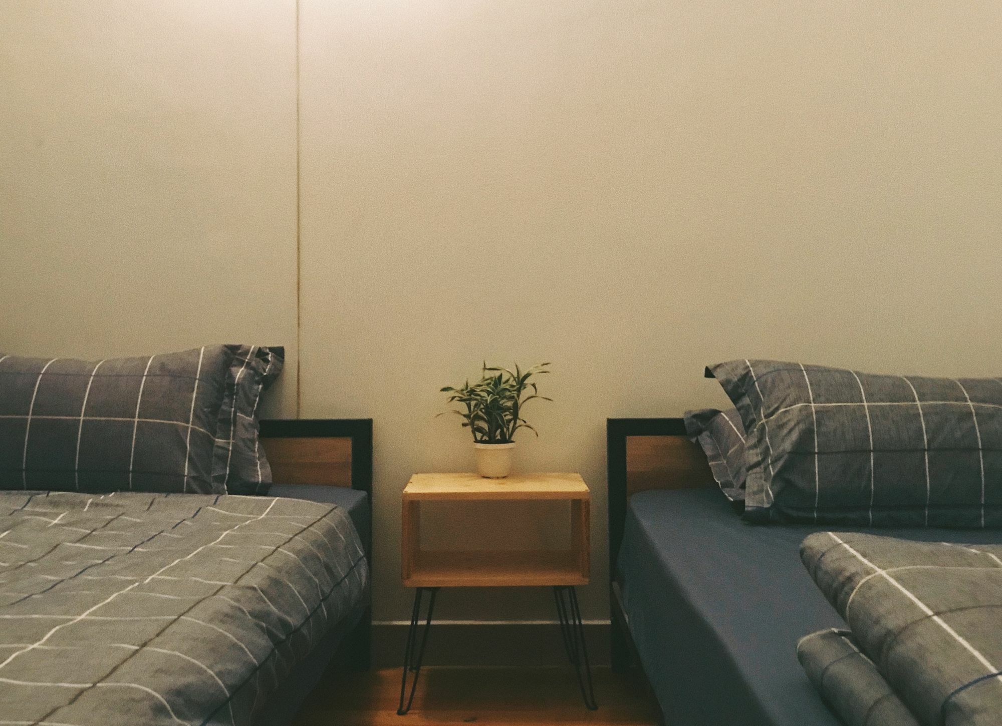 הו צ'י מין סיטי Condodo Hostel מראה חיצוני תמונה